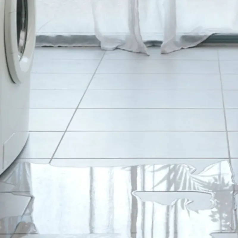 Appliance Leak Cleanup in Tavares, FL